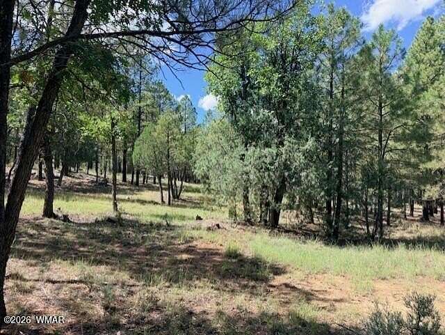0.86 Acres of Residential Land for Sale in Happy Jack, Arizona