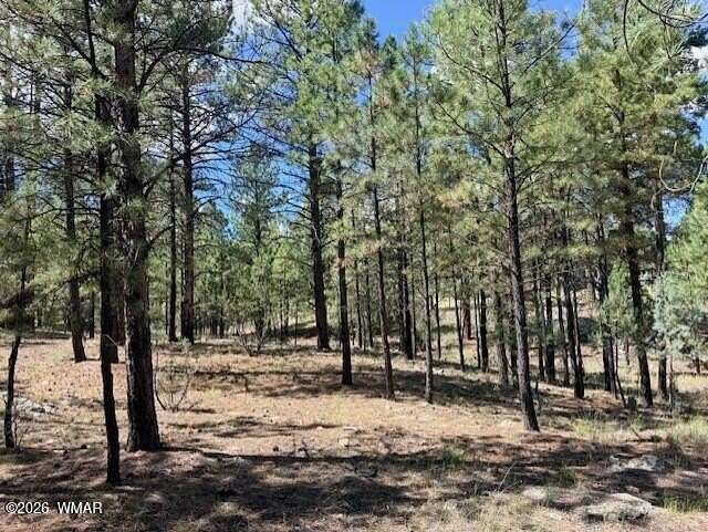0.85 Acres of Residential Land for Sale in Happy Jack, Arizona