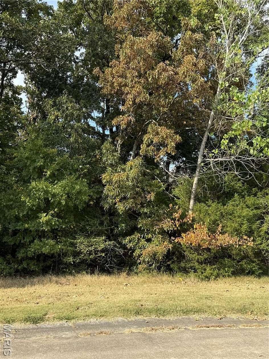 0.21 Acres of Residential Land for Sale in Poplar Bluff, Missouri