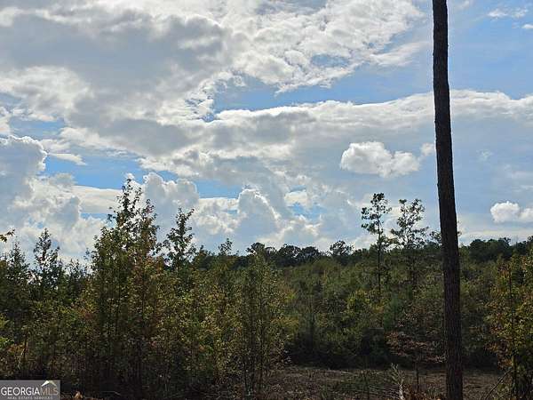 8.57 Acres of Residential Land for Sale in Franklin, Georgia