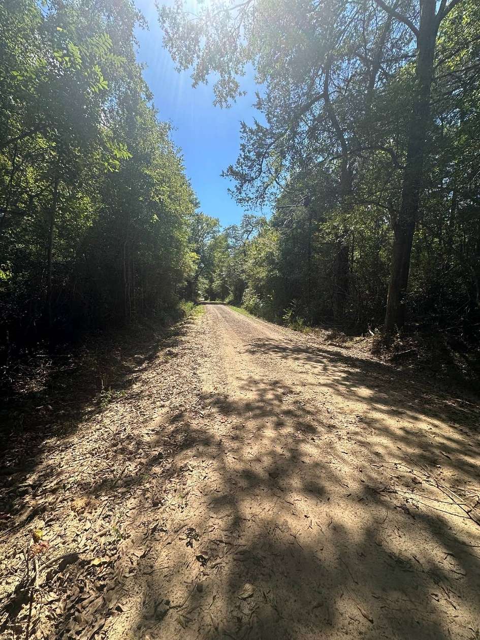 25.2 Acres of Recreational & Residential Land for Sale in Noble, Louisiana