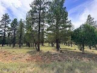 1 Acre of Residential Land for Sale in Happy Jack, Arizona