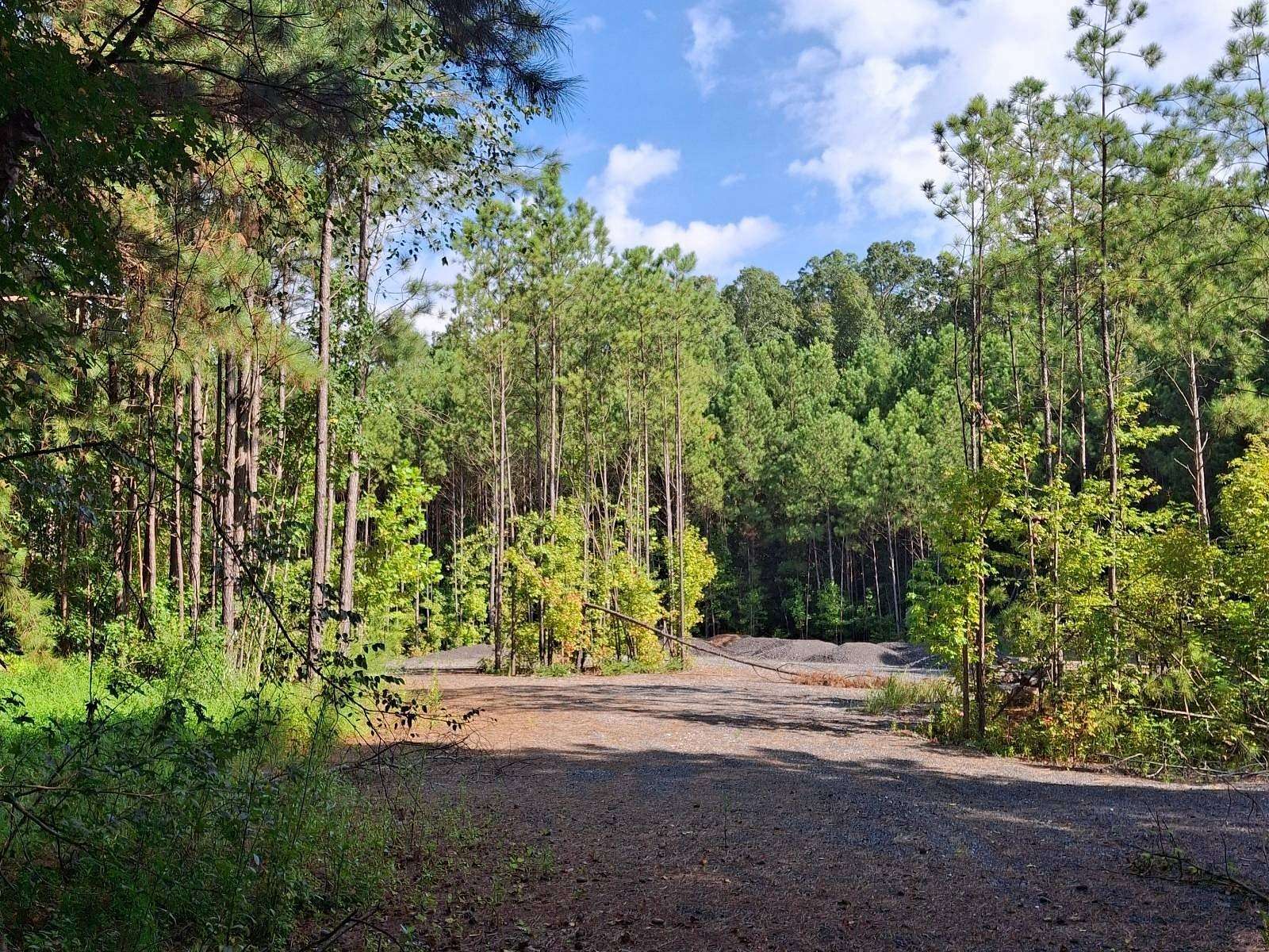 14 Acres of Land for Sale in Ellenwood, Georgia