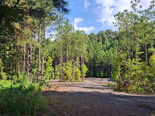 14 Acres of Land for Sale in Ellenwood, Georgia