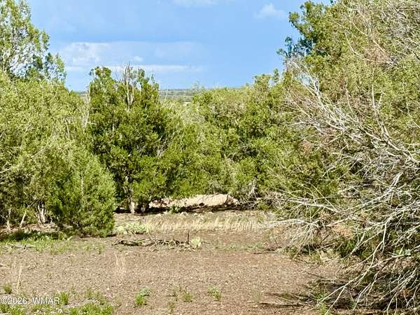 0.23 Acres of Residential Land for Sale in Show Low, Arizona