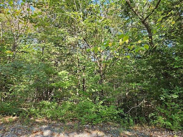 0.27 Acres of Residential Land for Sale in Hillsboro, Missouri