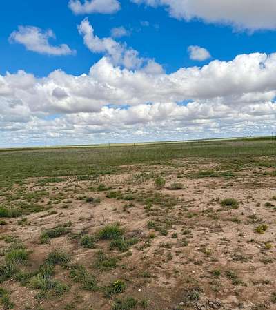 40.4 Acres of Land for Sale in Happy, Texas