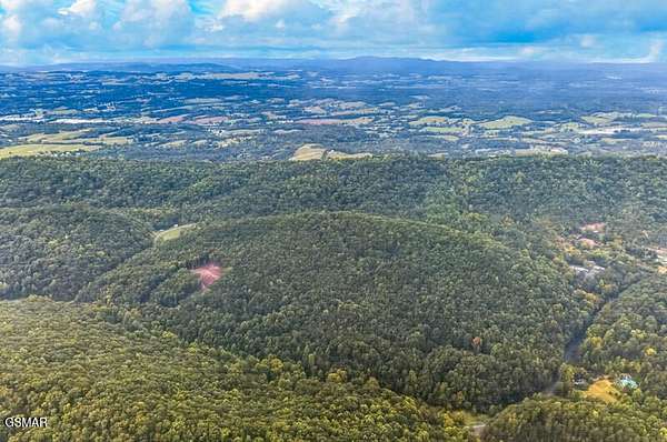 43.3 Acres of Recreational & Residential Land for Sale in Bulls Gap, Tennessee