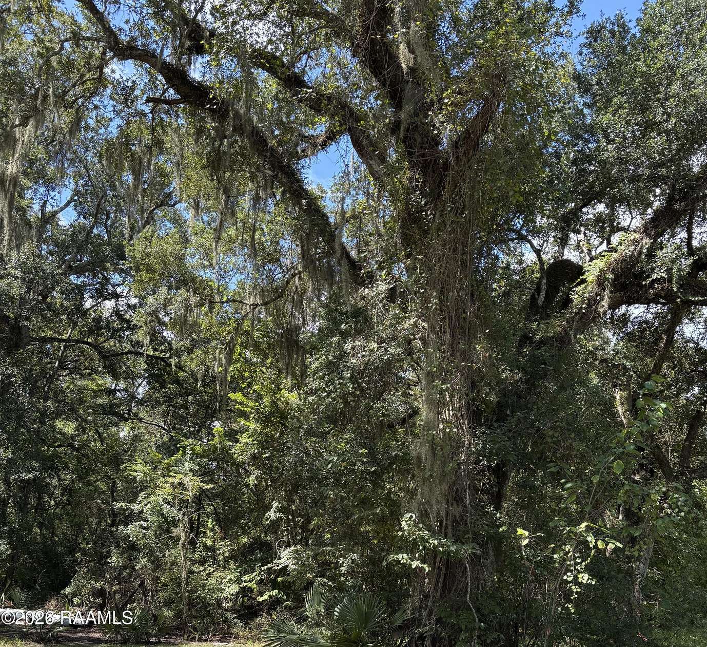 1.23 Acres of Land for Sale in Abbeville, Louisiana