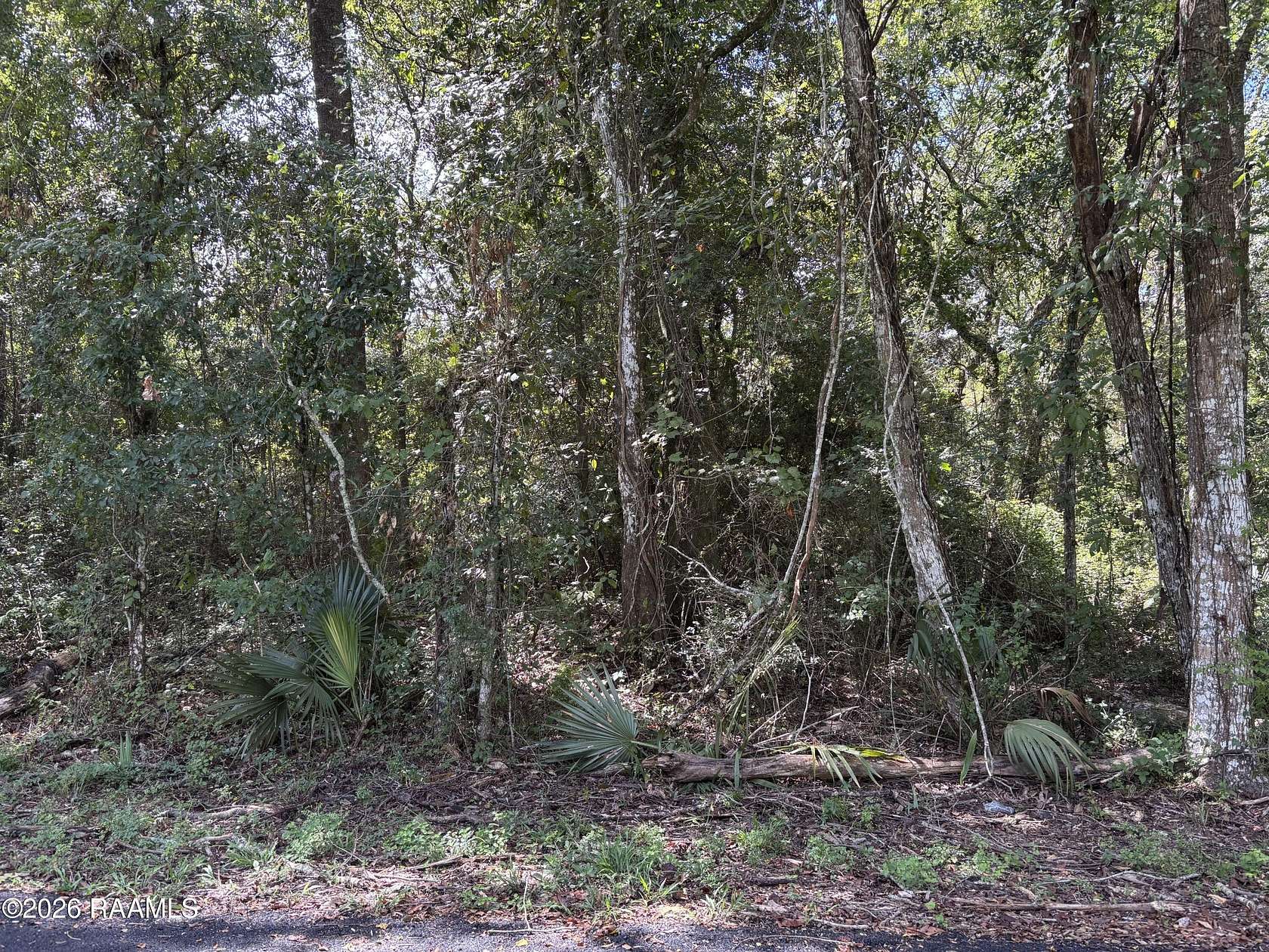 0.71 Acres of Residential Land for Sale in Abbeville, Louisiana