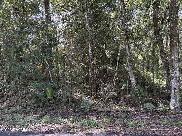 0.71 Acres of Residential Land for Sale in Abbeville, Louisiana