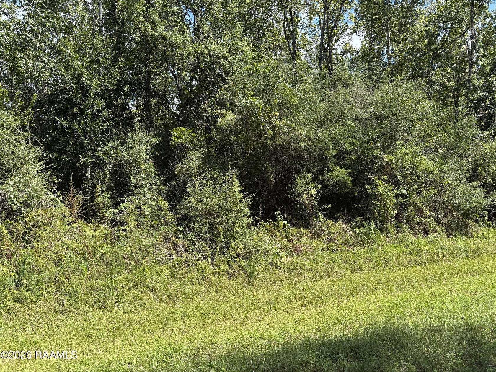 0.71 Acres of Residential Land for Sale in Abbeville, Louisiana