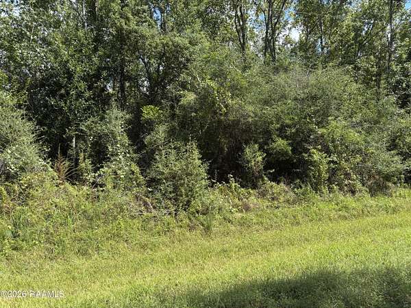 0.71 Acres of Residential Land for Sale in Abbeville, Louisiana