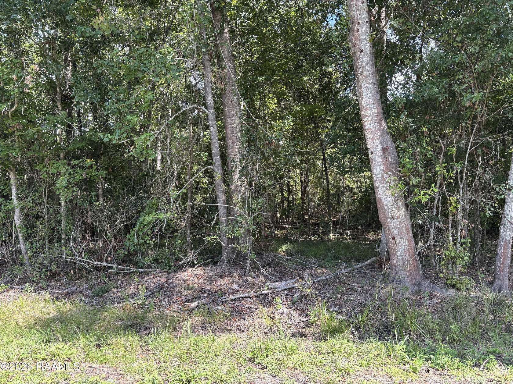 0.86 Acres of Residential Land for Sale in Abbeville, Louisiana
