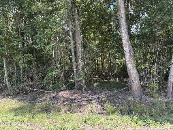 0.86 Acres of Residential Land for Sale in Abbeville, Louisiana