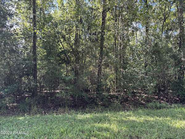 0.6 Acres of Residential Land for Sale in Abbeville, Louisiana