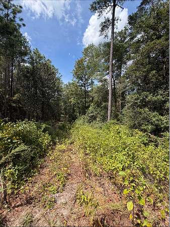 7.7 Acres of Residential Land for Sale in East Brewton, Alabama