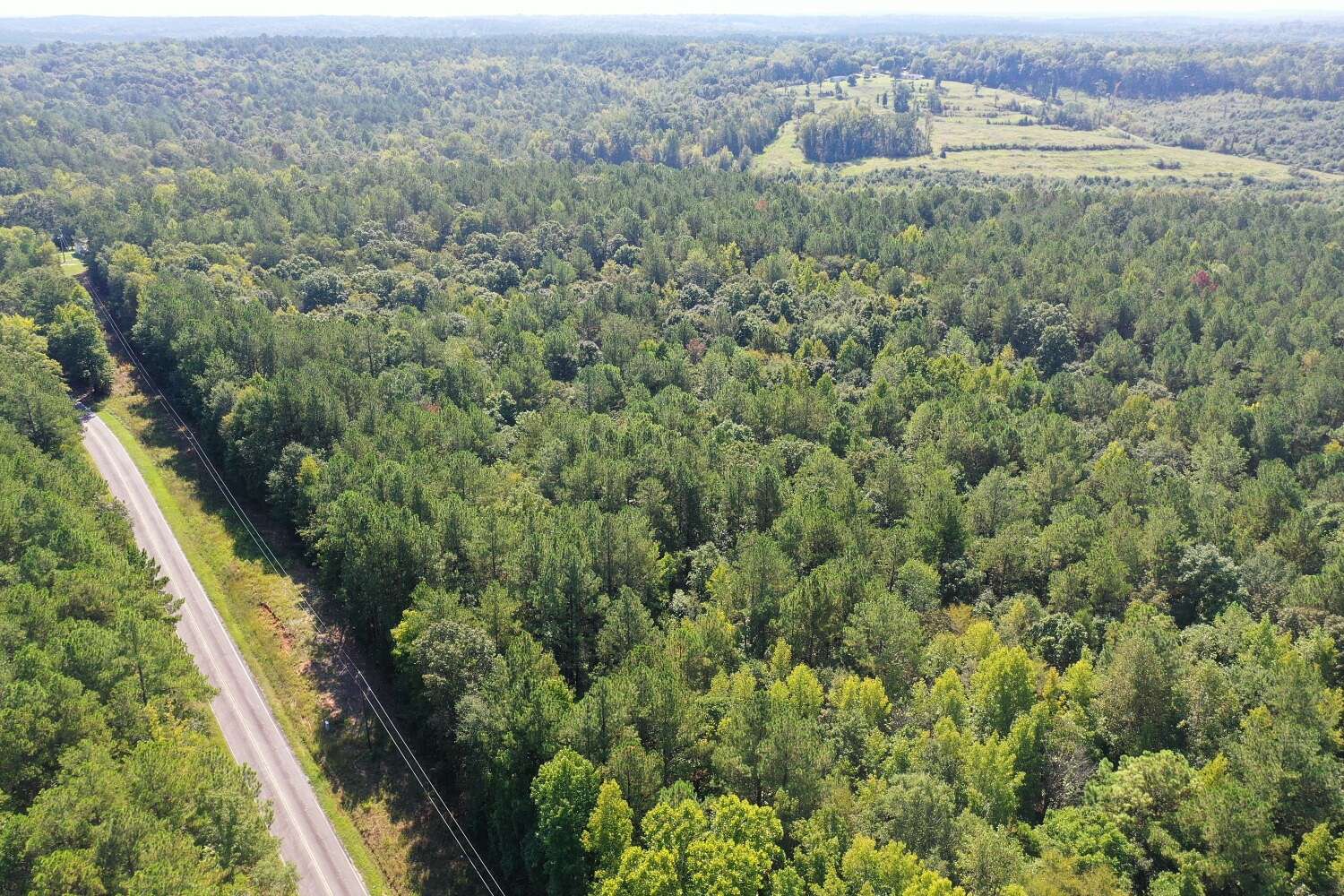 18.1 Acres of Recreational & Residential Land for Sale in Waterloo, South Carolina