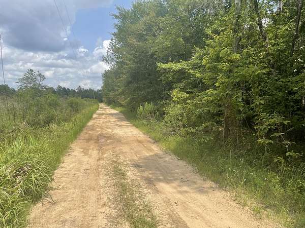 14 Acres of Recreational & Residential Land for Sale in Axis, Alabama