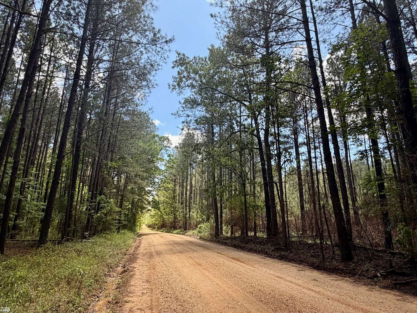 5 Acres of Residential Land for Sale in Lake, Mississippi