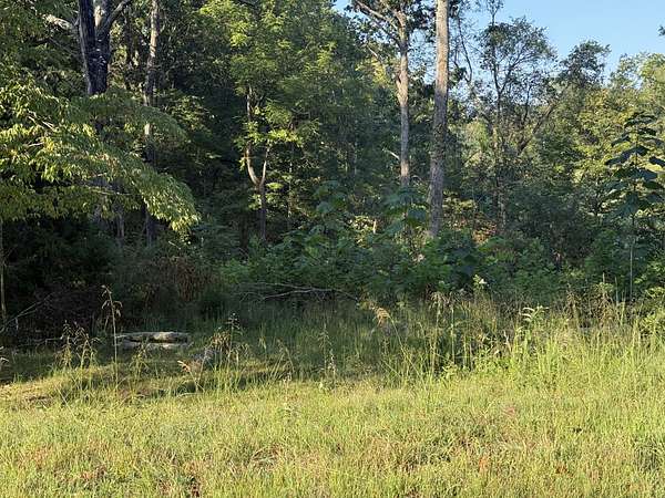 0.75 Acres of Residential Land for Sale in Vanleer, Tennessee