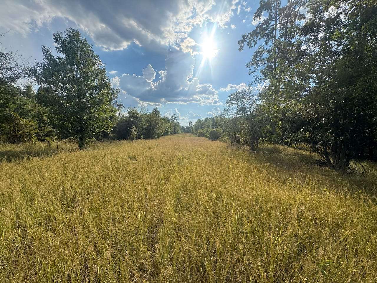 260 Acres of Land for Sale in Moro Bay, Arkansas