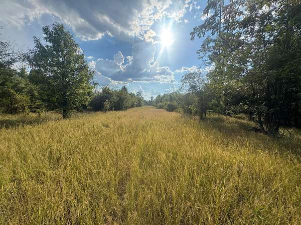260 Acres of Land for Sale in Moro Bay, Arkansas