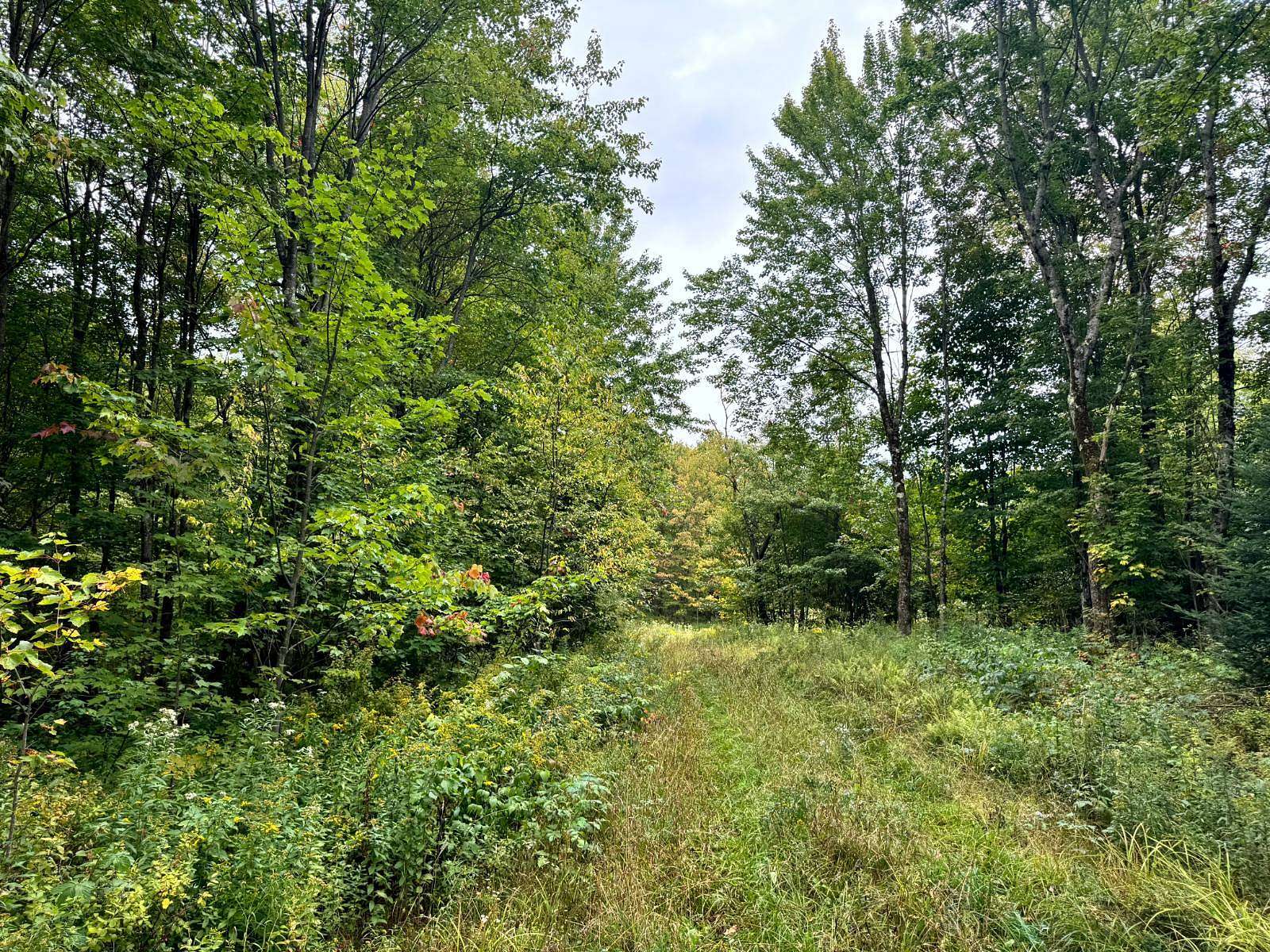 5.25 Acres of Land for Sale in West Turin Town, New York
