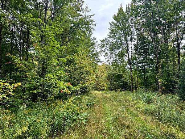 5.25 Acres of Land for Sale in West Turin Town, New York