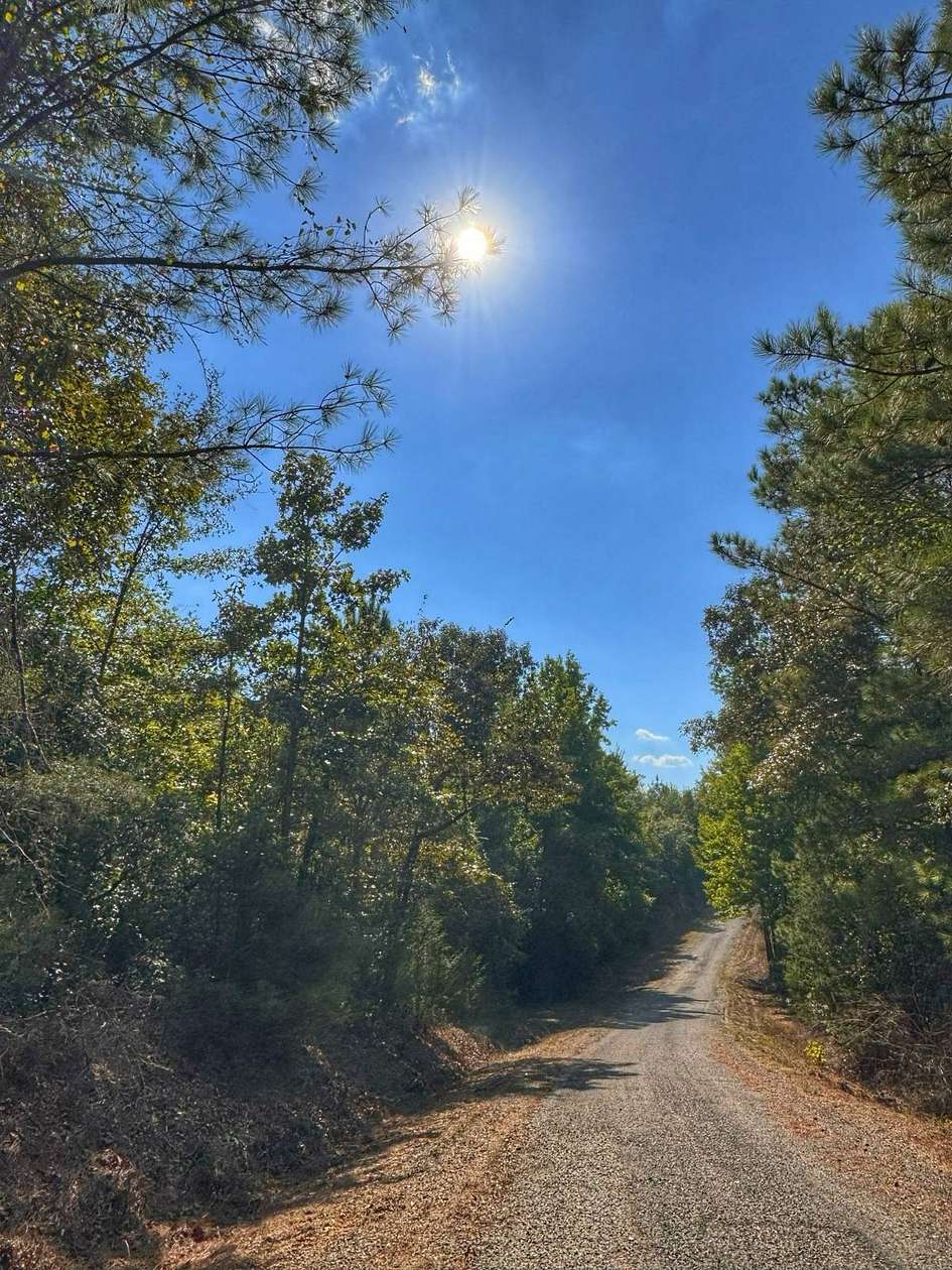 4.18 Acres of Residential Land for Sale in Hamilton, Alabama