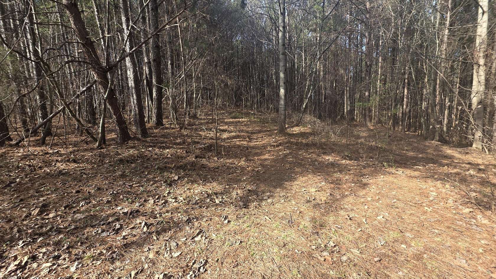 6.66 Acres of Residential Land for Sale in Oldfort, Tennessee