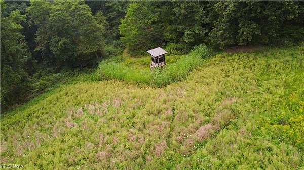 16 Acres of Land for Sale in Fresno, Ohio