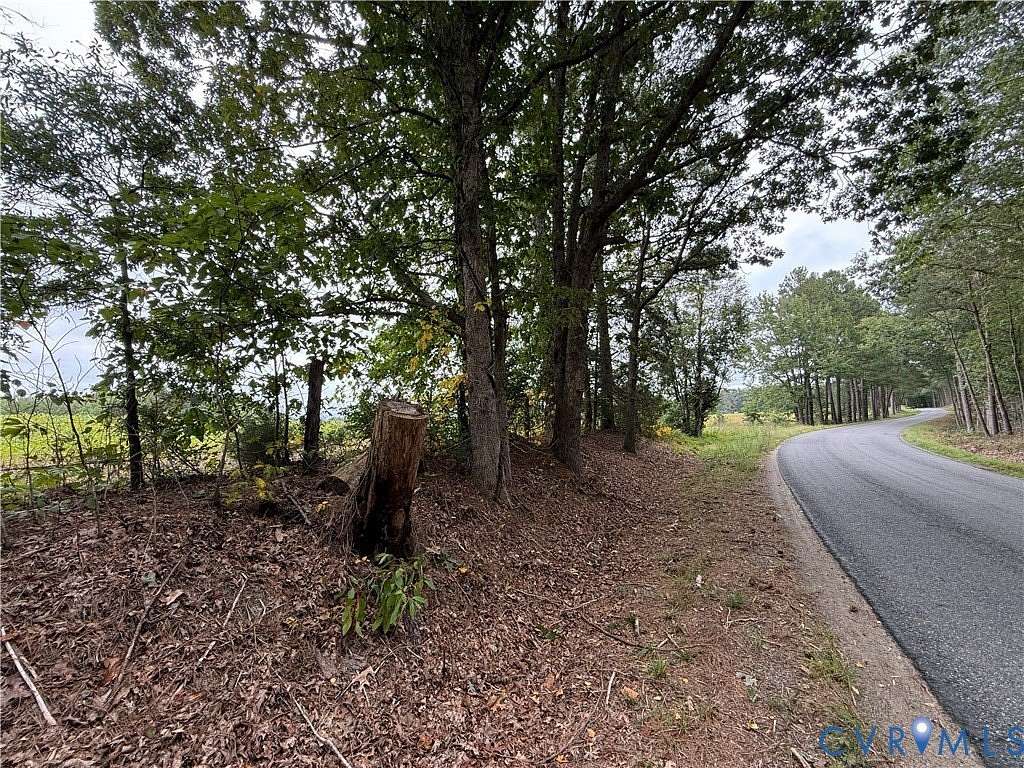 32.5 Acres of Land for Sale in Beaverdam, Virginia
