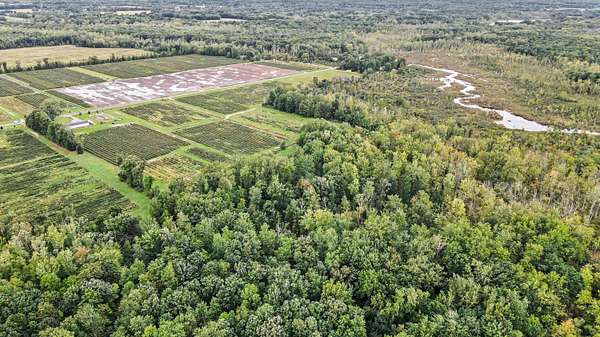 8.5 Acres of Residential Land for Sale in Gobles, Michigan