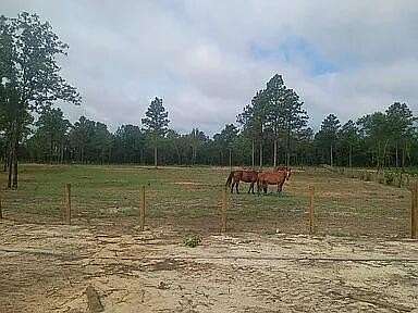 34.3 Acres of Land for Sale in Windsor, South Carolina