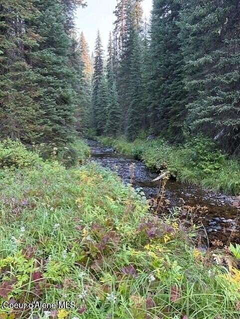 80 Acres of Recreational Land for Sale in Lowell, Idaho