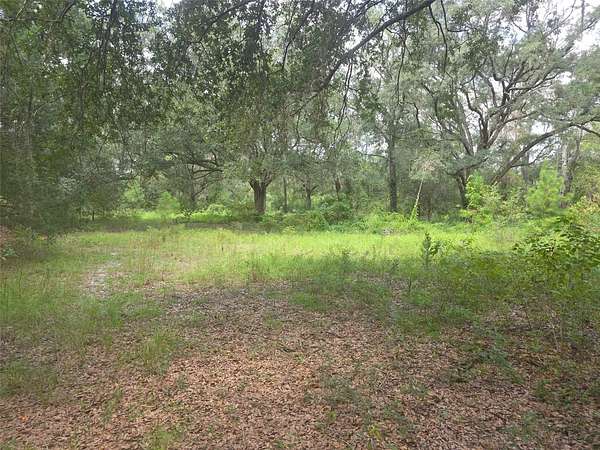4.16 Acres of Residential Land for Sale in Gainesville, Florida