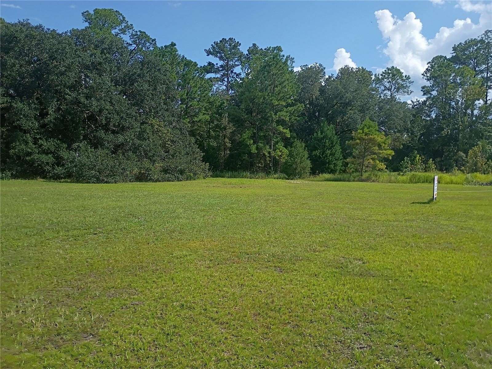 0.81 Acres of Commercial Land for Sale in Waldo, Florida