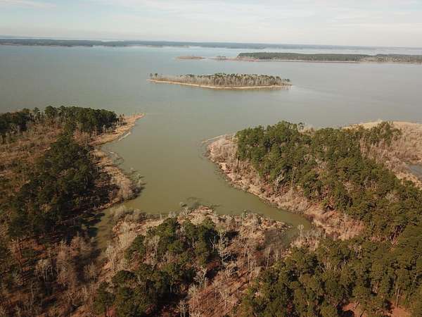 1 Acre of Residential Land for Sale in Brookeland, Texas