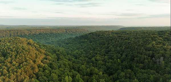 4,225 Acres of Recreational Land for Sale in Tuscumbia, Alabama