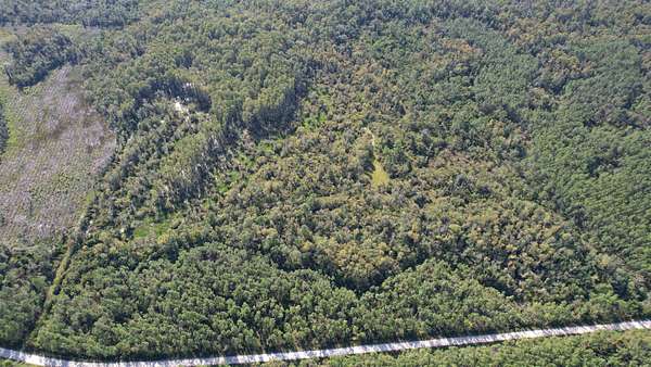 40 Acres of Recreational Land for Sale in Perry, Florida