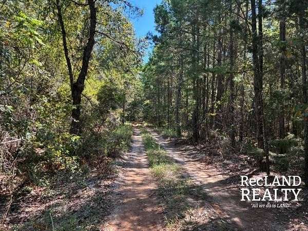 26.1 Acres of Recreational & Residential Land for Sale in Mira, Louisiana