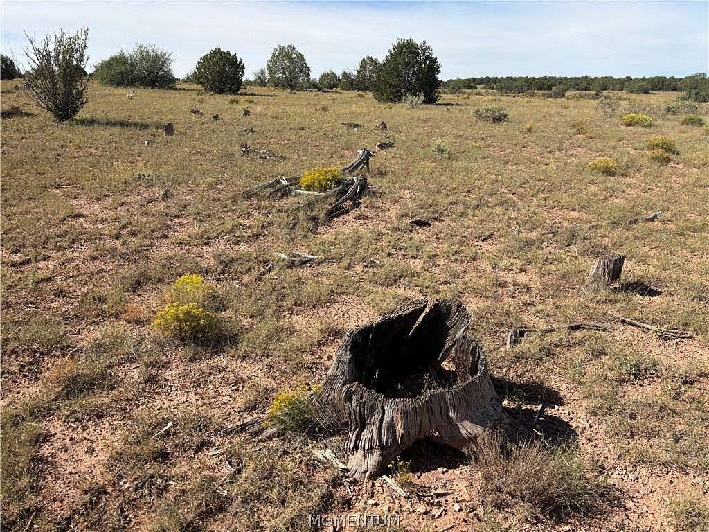 40 Acres of Agricultural & Residential Land for Sale in Seligman, Arizona