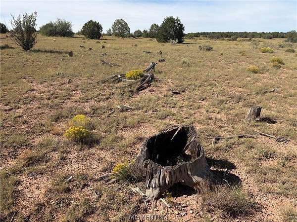 40 Acres of Agricultural & Residential Land for Sale in Seligman, Arizona