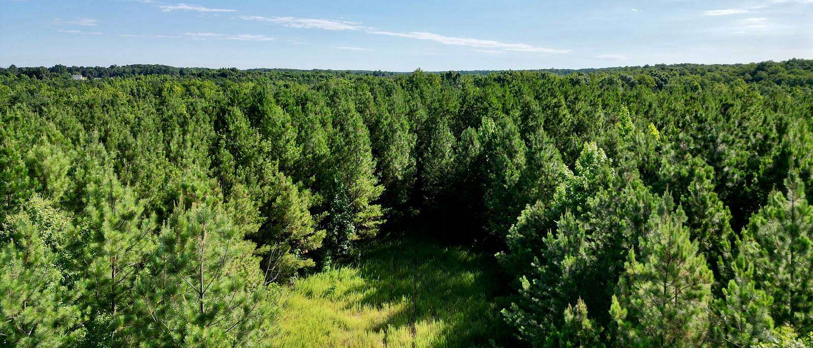 173 Acres of Land for Sale in Blackstone, Virginia
