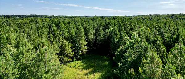 173 Acres of Land for Sale in Blackstone, Virginia