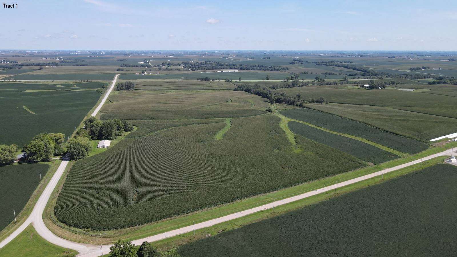 53 Acres of Agricultural Land for Auction in Leighton, Iowa