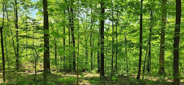 8 Acres of Land for Sale in Bloomington, Indiana