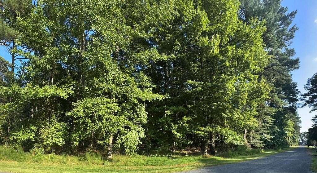 0.22 Acres of Residential Land for Sale in Greenbackville, Virginia