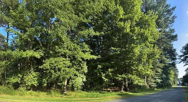 0.22 Acres of Residential Land for Sale in Greenbackville, Virginia